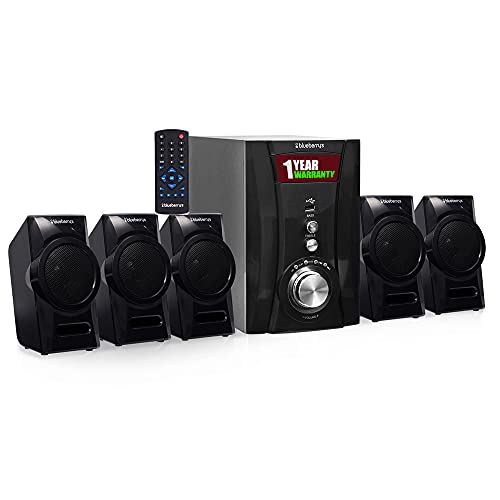 Blueberry's 5.1 42 Watt Multimedia Home Theatre Speaker System