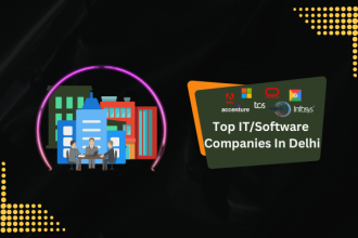 Top ITSoftware Companies In Delhi